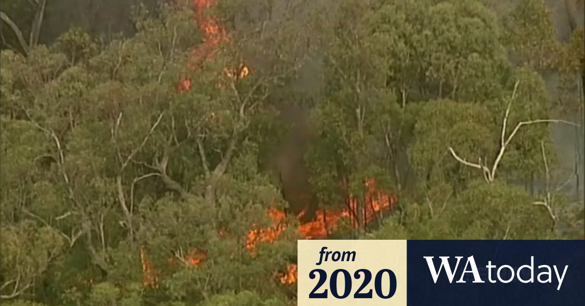 Video Victoria Bushfires Premier extends State of Disaster